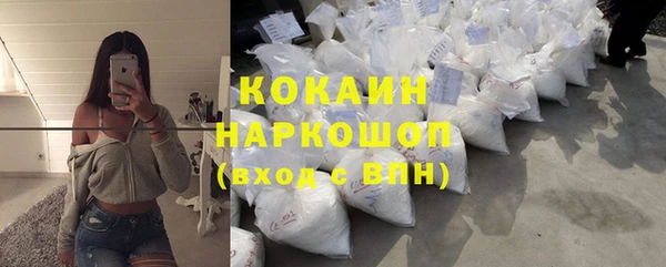 мет Протвино